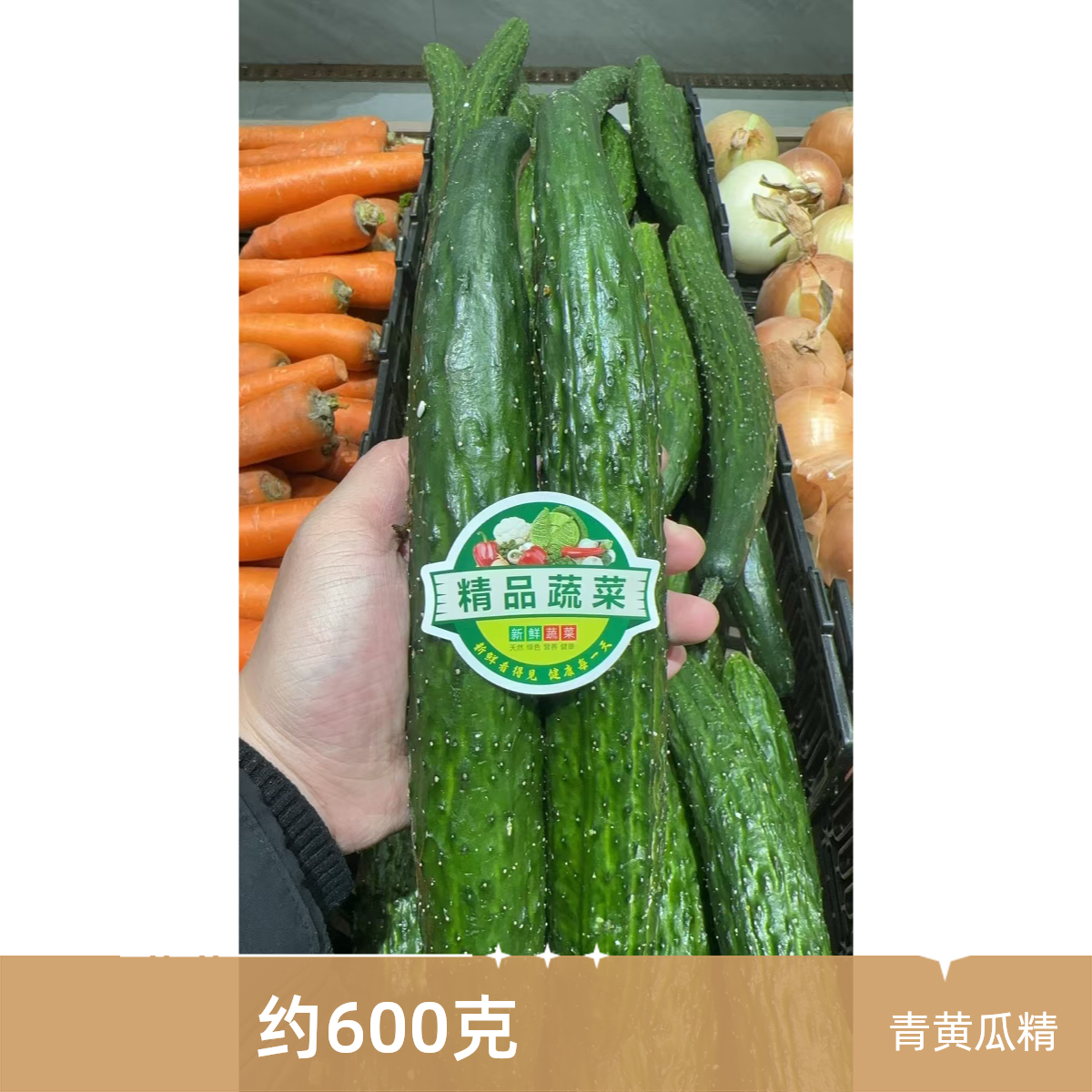 精品青黄瓜/两根 约500g黄瓜同城送黄瓜同城配