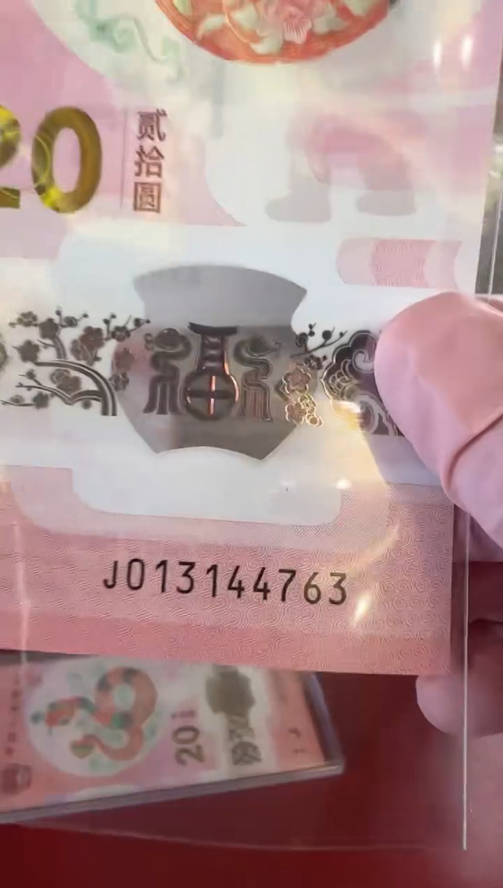 【闪购商品】塑料25蛇钞013144763单张裸