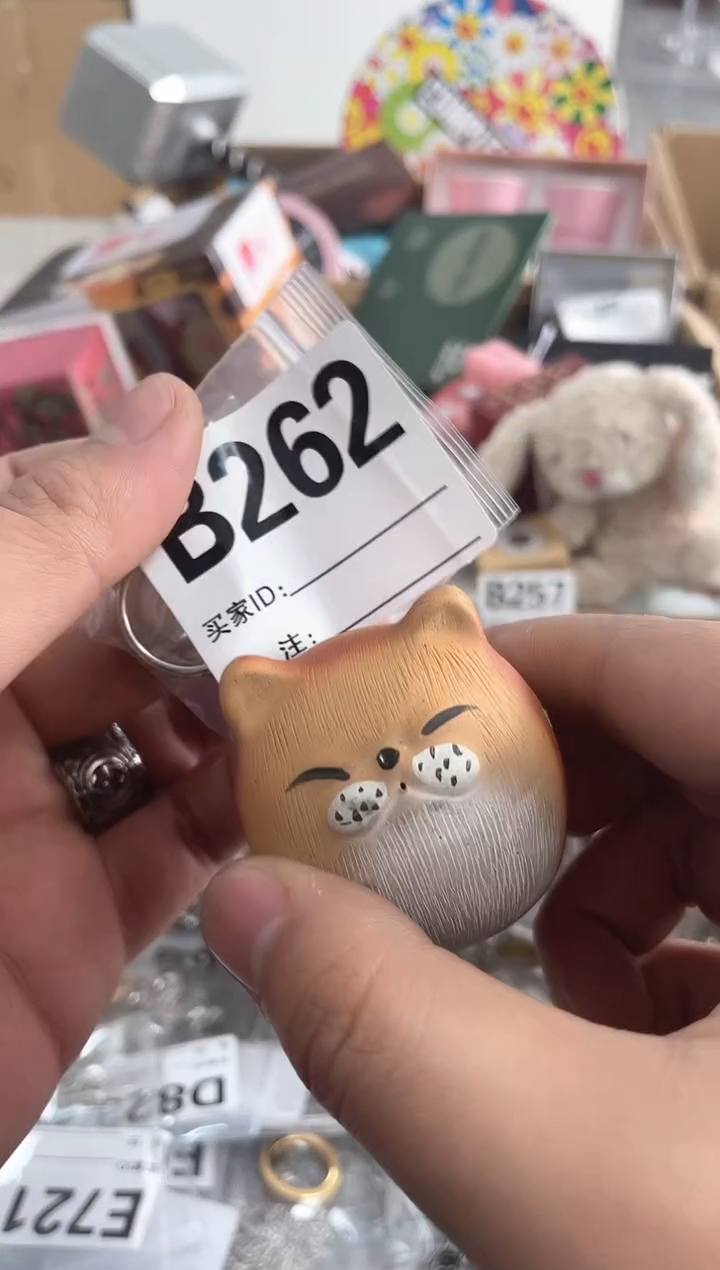 【闪购商品】瓷片B262 ++00000000000