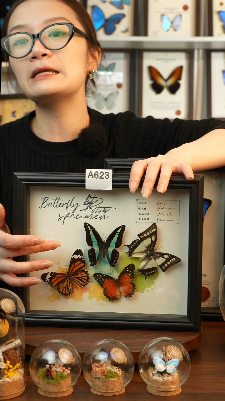 四色蝴蝶组合（10寸欧式黑框）A623