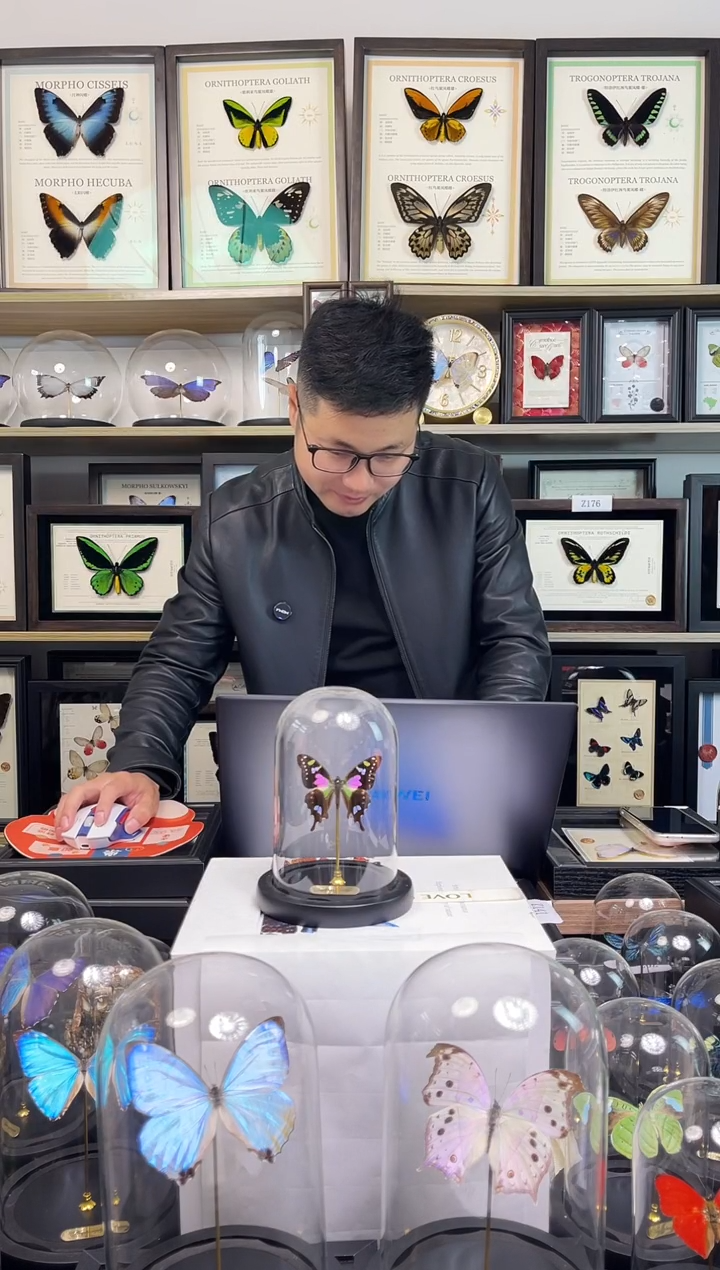 玫瑰青凤蝶-小号玻璃罩