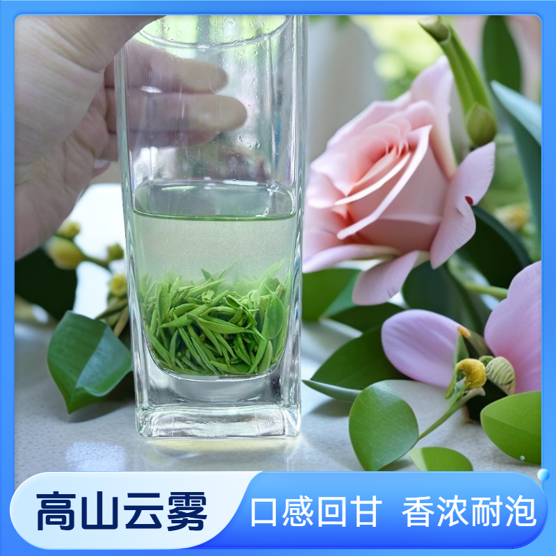 2025保康店垭高山云雾芽毛尖茶嫩芽云雾绿茶礼盒袋