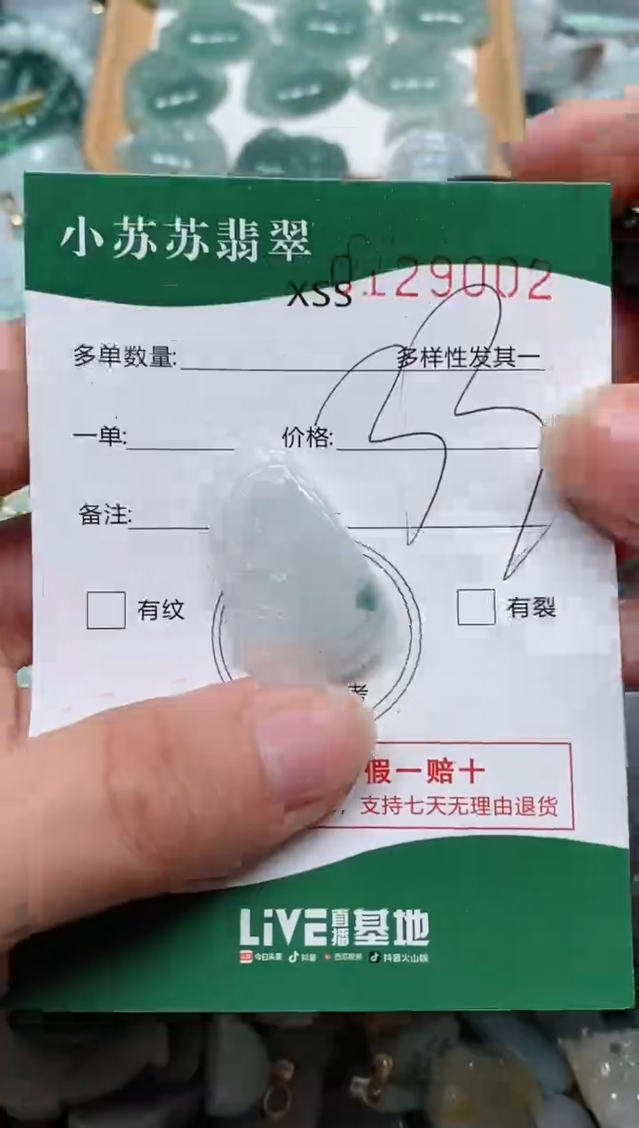 【闪购商品】翡翠颈饰未镶嵌闪购商品0129002