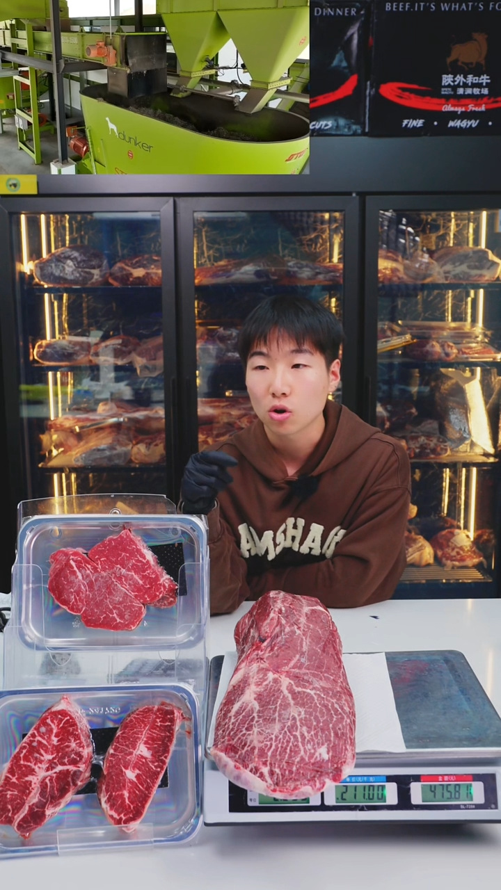 12个月中国大陆a1西冷3.1kg