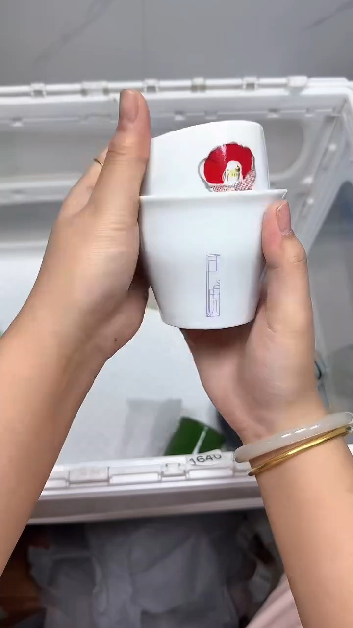【闪购商品】207回流瓷器默认微瑕，18.8包邮