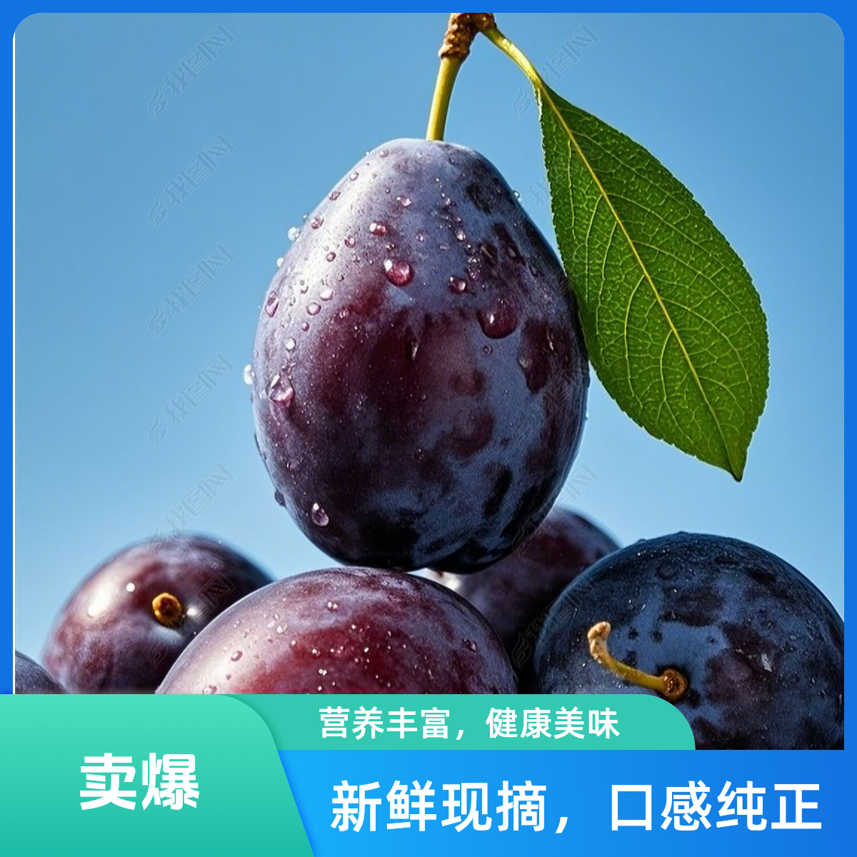 新疆法兰西梅一盒