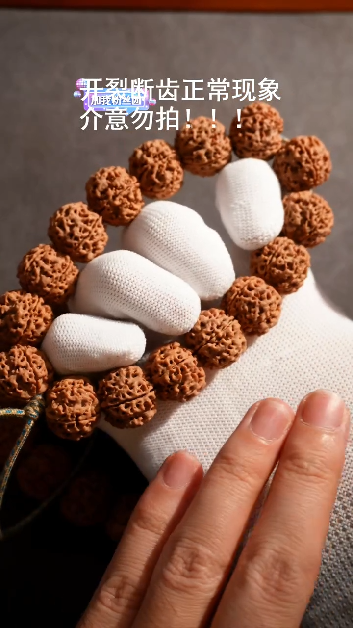 【闪购商品】金刚菩提手串铁纹龙20A