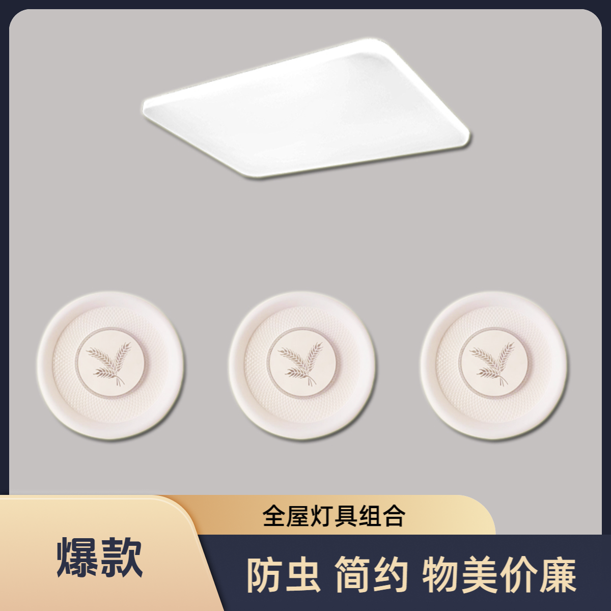 家用灯具组合阳台客厅灯卧室灯防虫吸顶灯圆形全封闭中山灯具