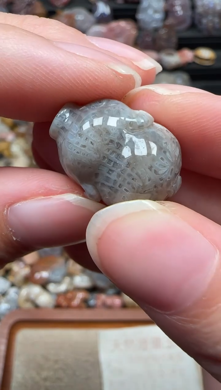 颈饰未镶嵌硅化珊瑚（珊瑚玉）285