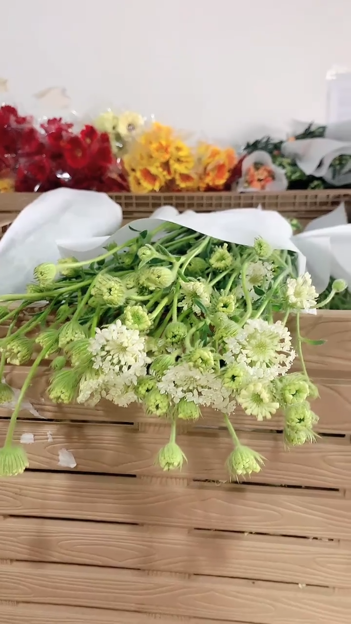 翠珠1把20%耗损需要加拍运费