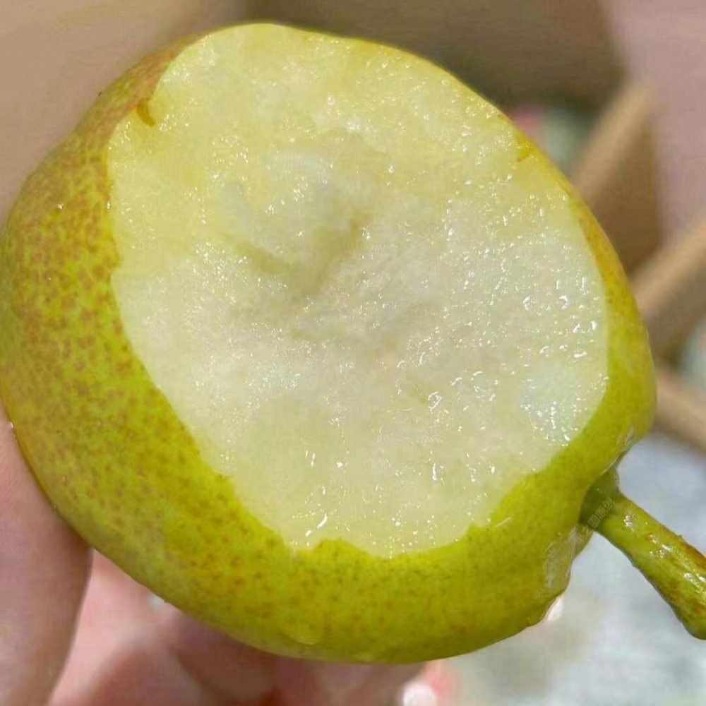 库尔勒糖皮梨 香梨一箱6斤左右