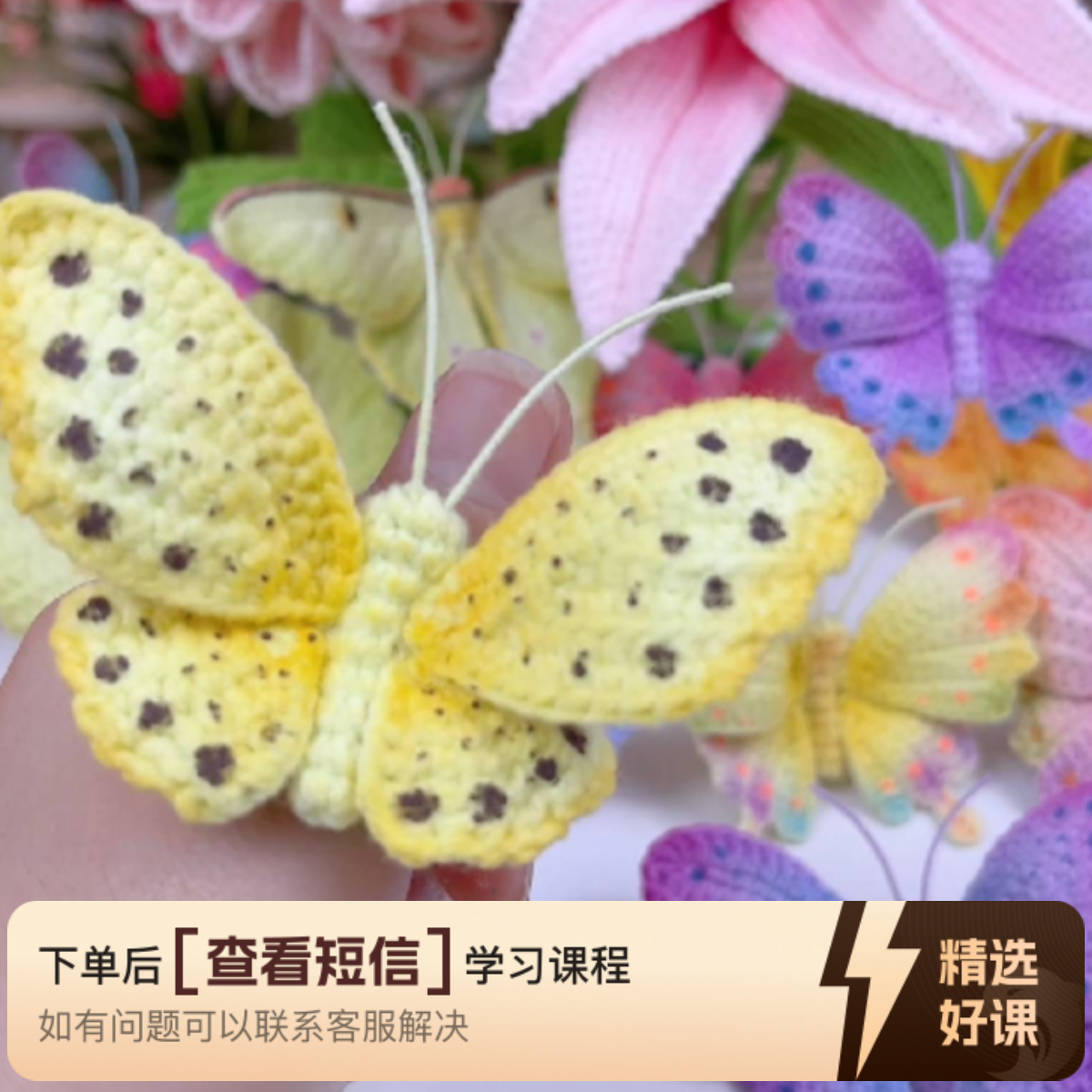 蝴蝶钩织专栏课程（留意短信解锁课程）