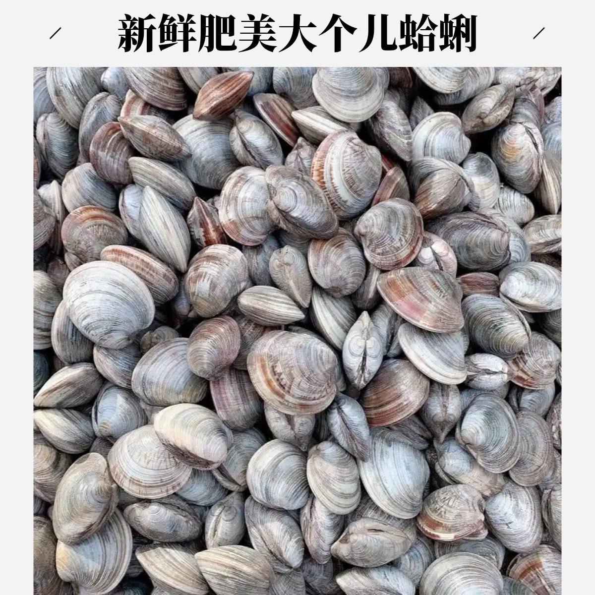 新鲜活花甲250g