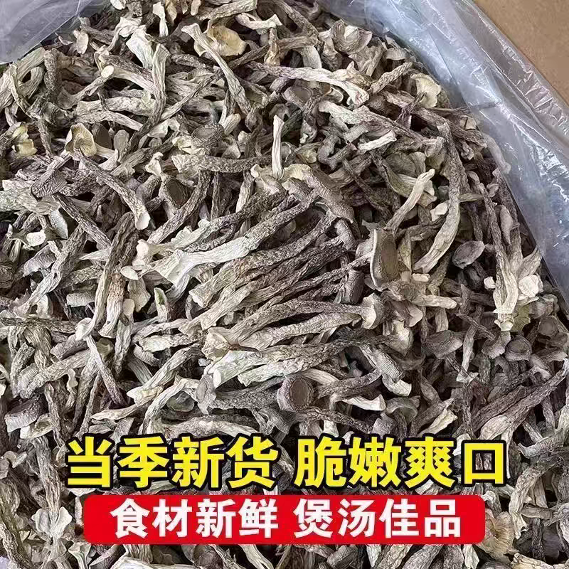 （鹿茸菇）鹿茸菇干货无硫熏无干燥剂鲜嫩脆爽可炒着吃可煲汤  