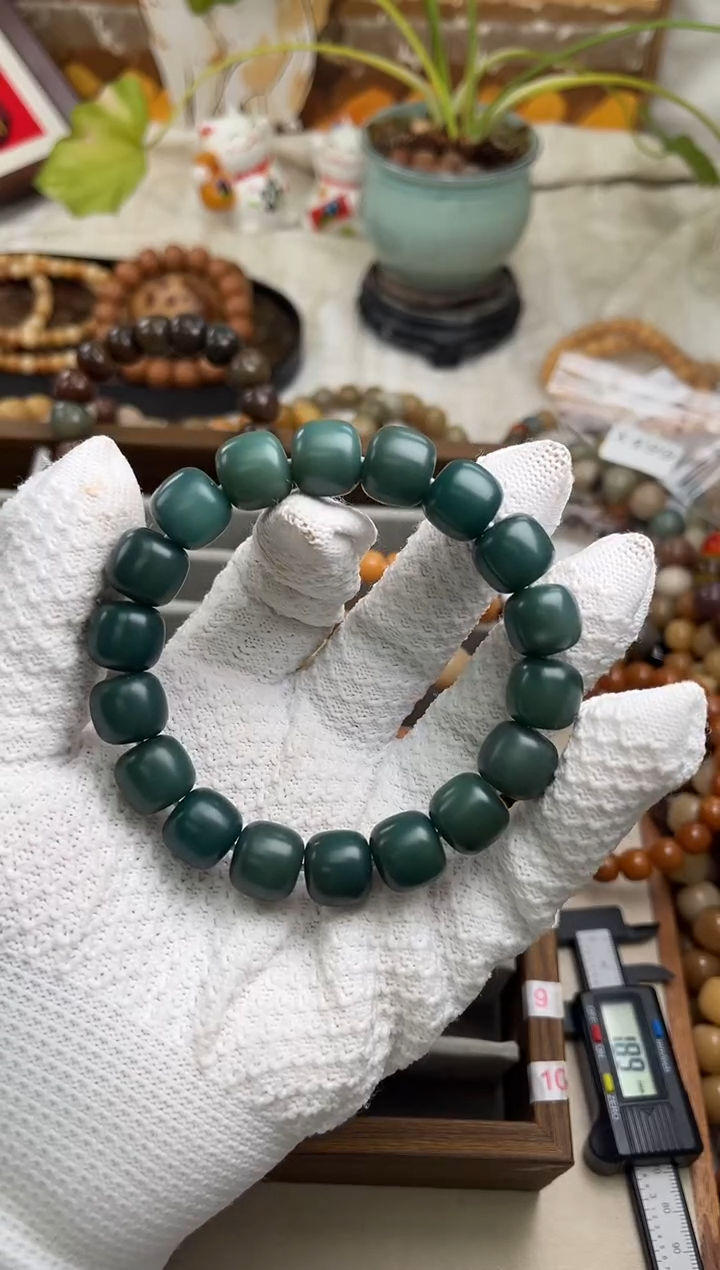 手串菩提根/象牙果再***夜x679 卡13 干磨糖壳