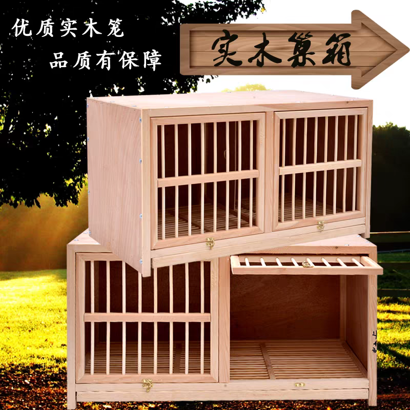 赛鸽配对笼定制种鸽调节笼实木鸽子巢箱养殖用