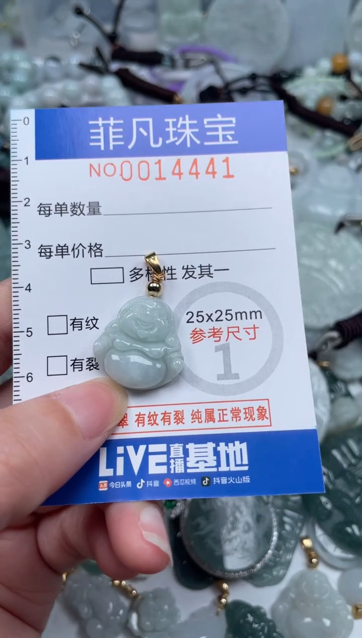 颈饰未镶嵌翡翠14441