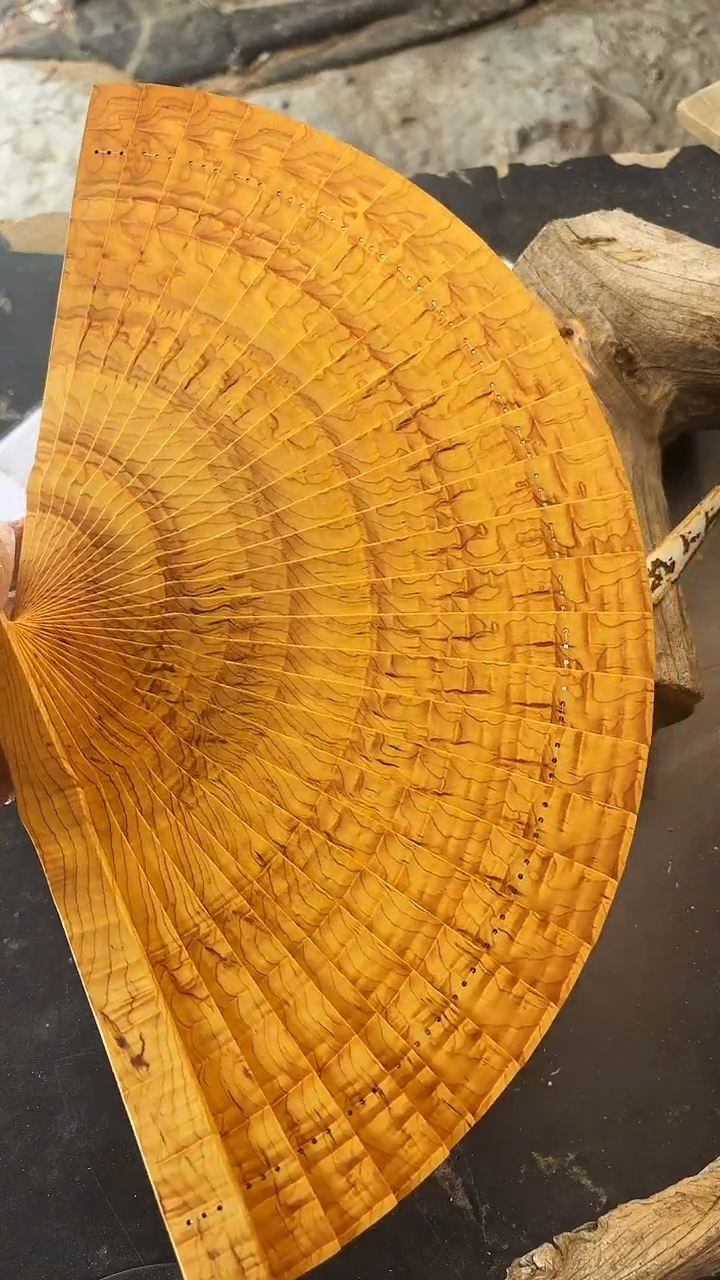 柏木（崖柏）南太行崖柏扇子