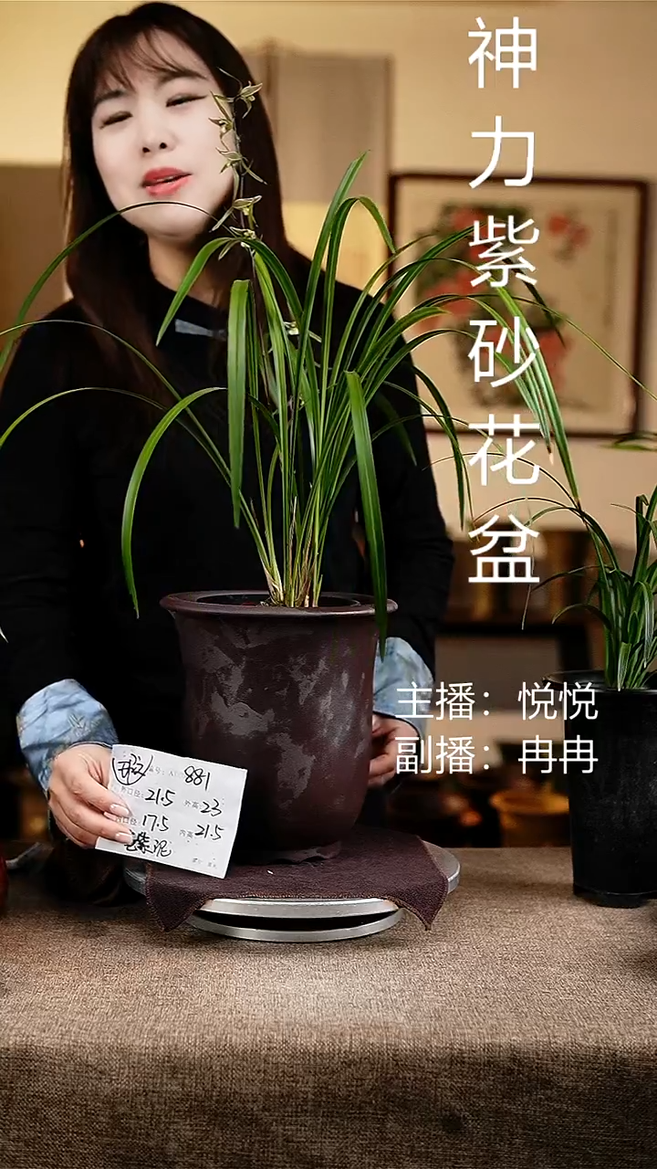 紫砂花盆花卉工艺881微瑕