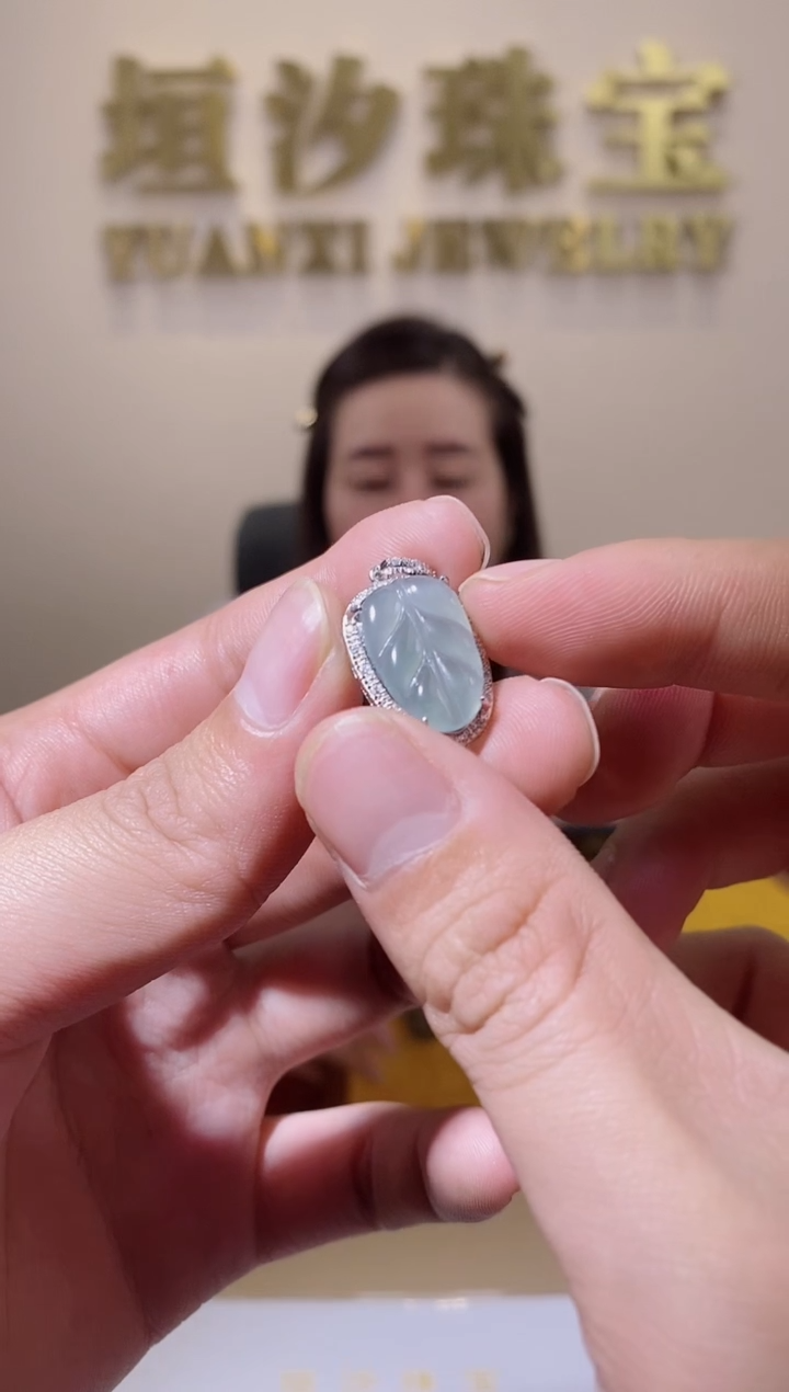 【闪购商品】翡翠颈饰合金天然A货翡翠（多样性发一） 