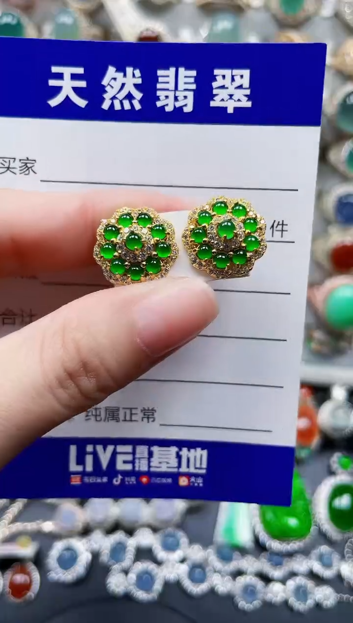 银S925镶嵌翡翠耳饰529