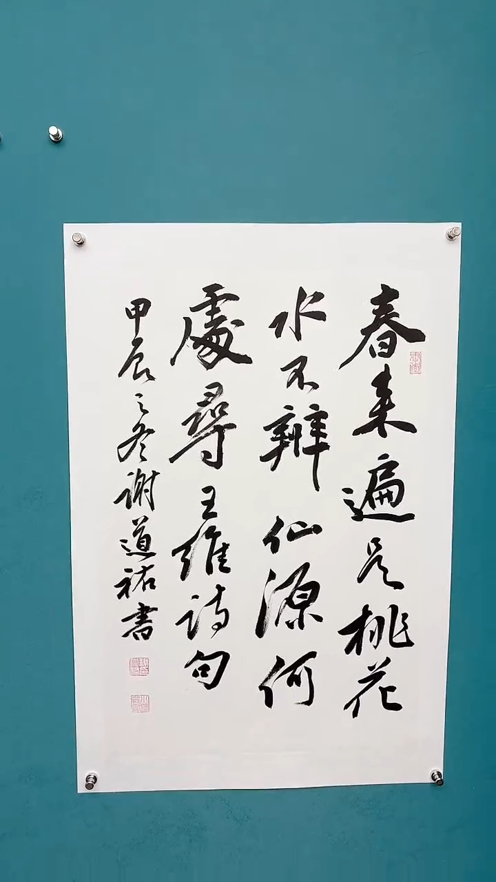 【闪购商品】谢老师传统艺术年画春来