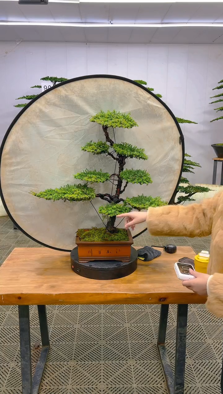 无花朵一物一拍一物一拍