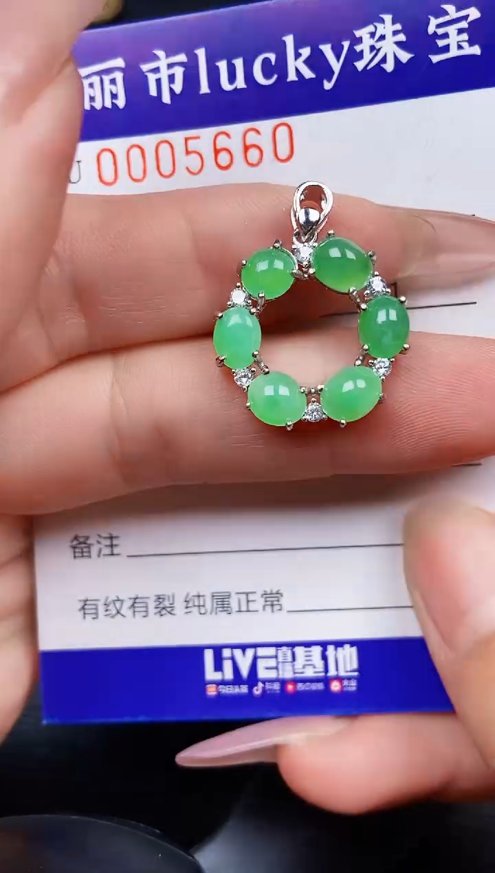翡翠银S925镶嵌颈饰5660