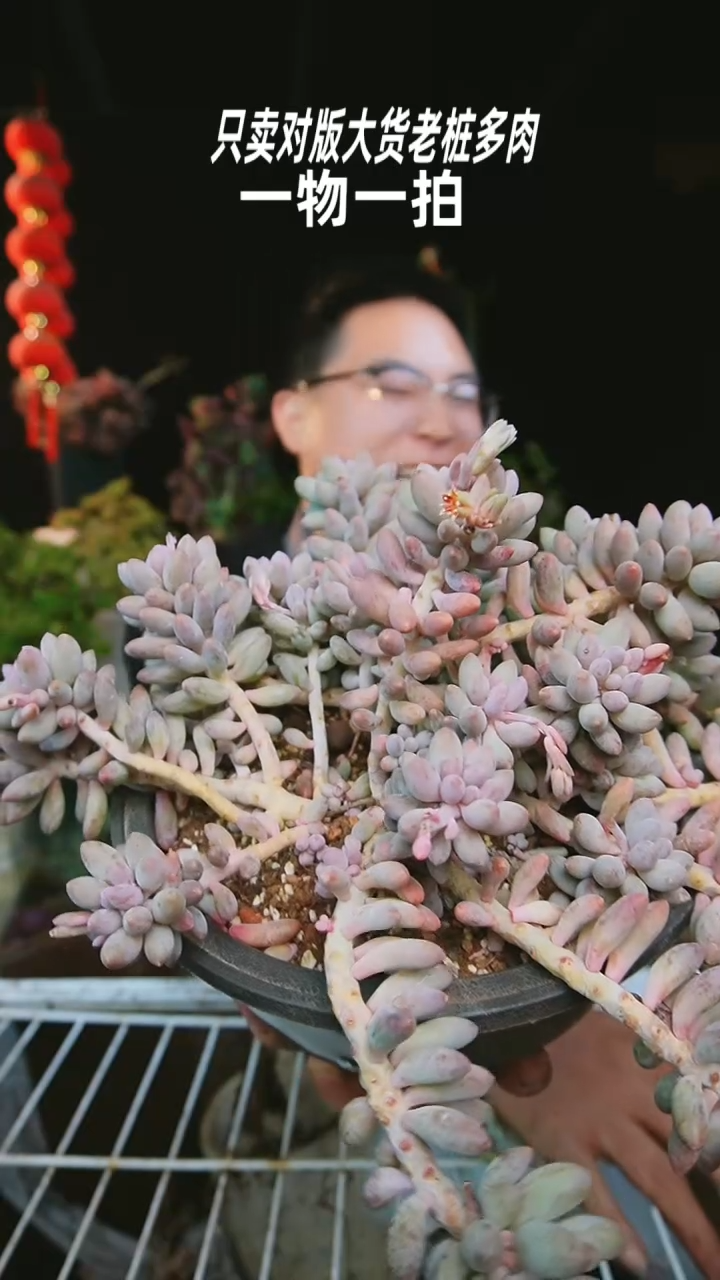 【闪购商品】60号婴儿手指