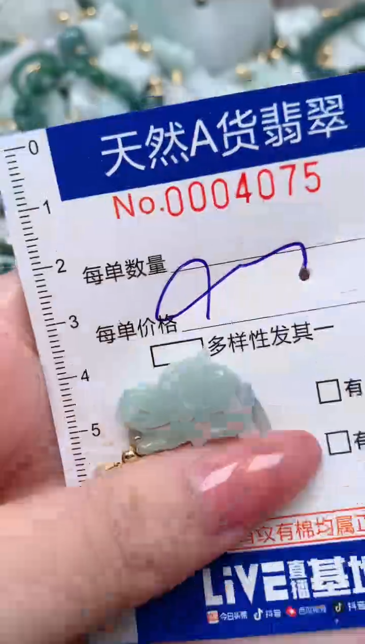 【闪购商品】翡翠颈饰未镶嵌00004075