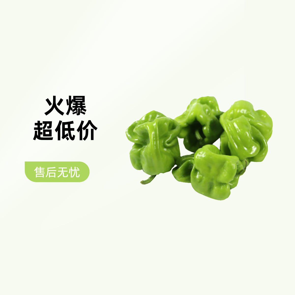 皱皮椒 约250g 一份 新鲜