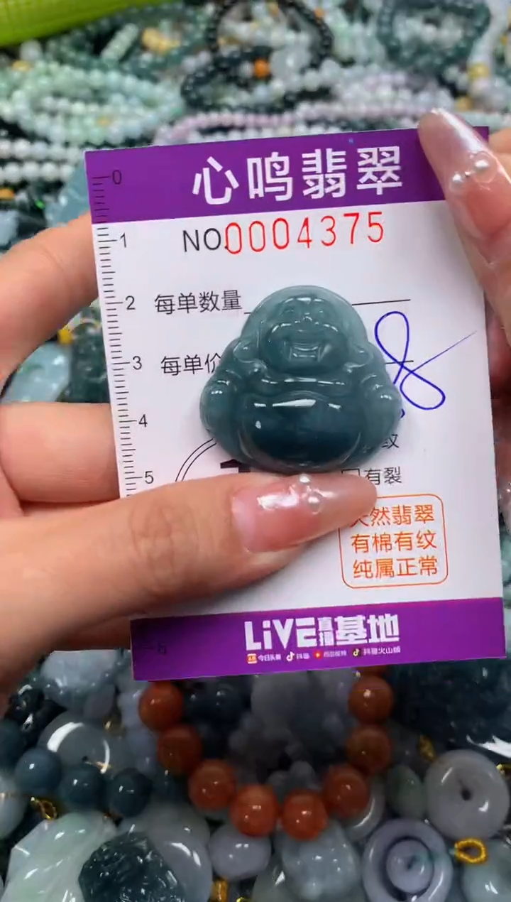 颈饰未镶嵌翡翠闪购004375