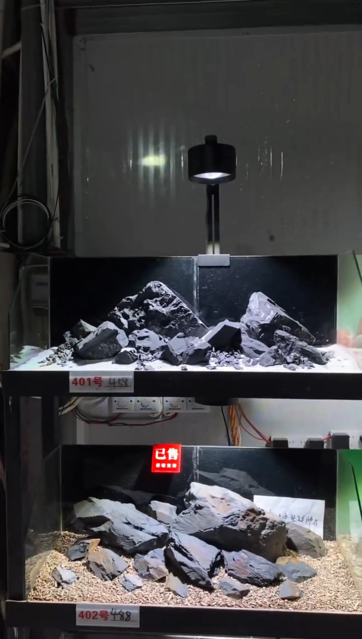 401号鱼缸造景（不含底砂）
