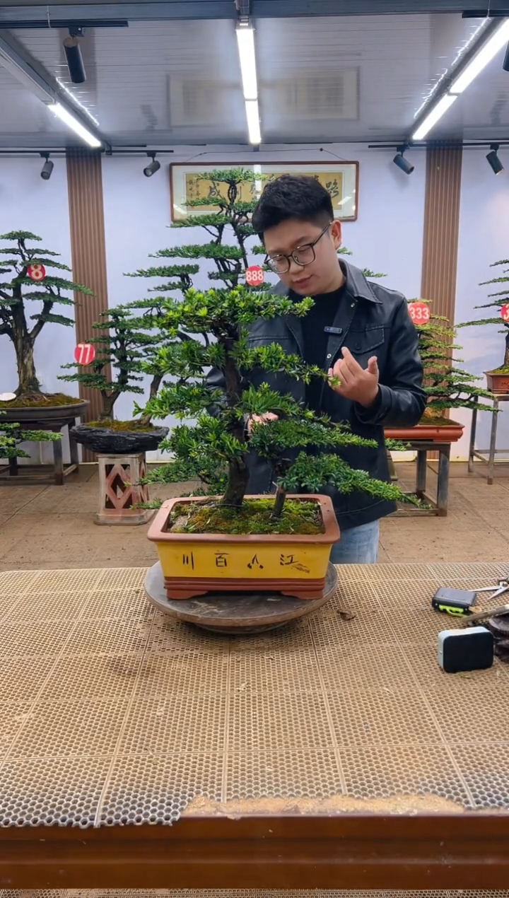 一物一拍，所见即所得