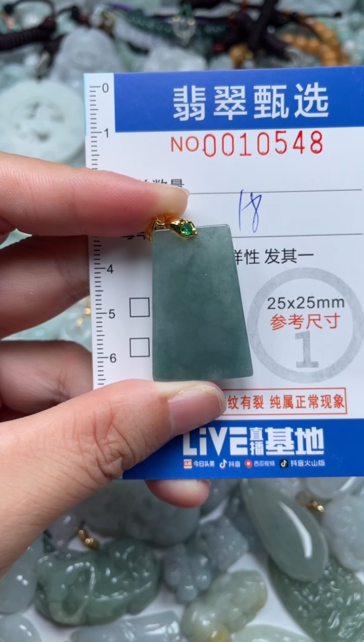 颈饰未镶嵌翡翠10548