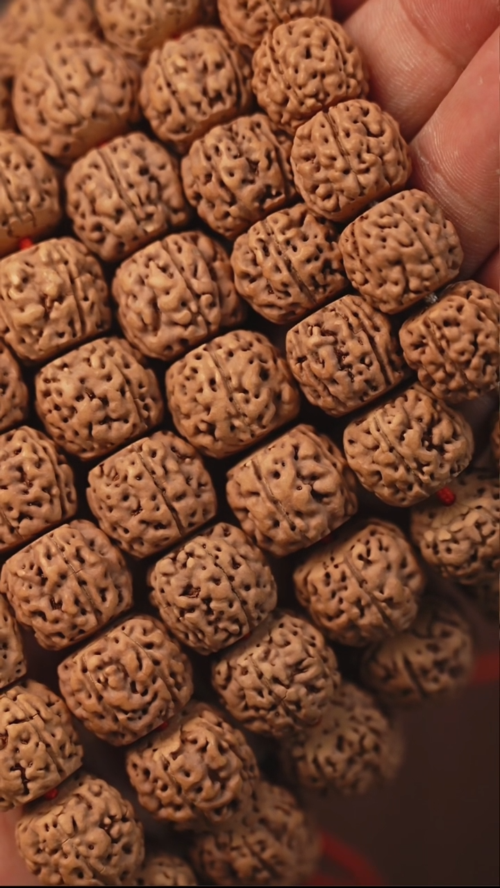 手串金刚菩提S03藏式盘龙单圈14~16