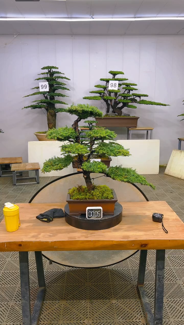 无花朵一物一拍一物一拍