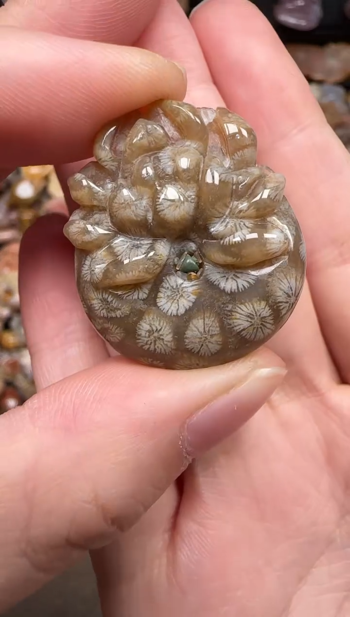 硅化珊瑚（珊瑚玉）未镶嵌颈饰593