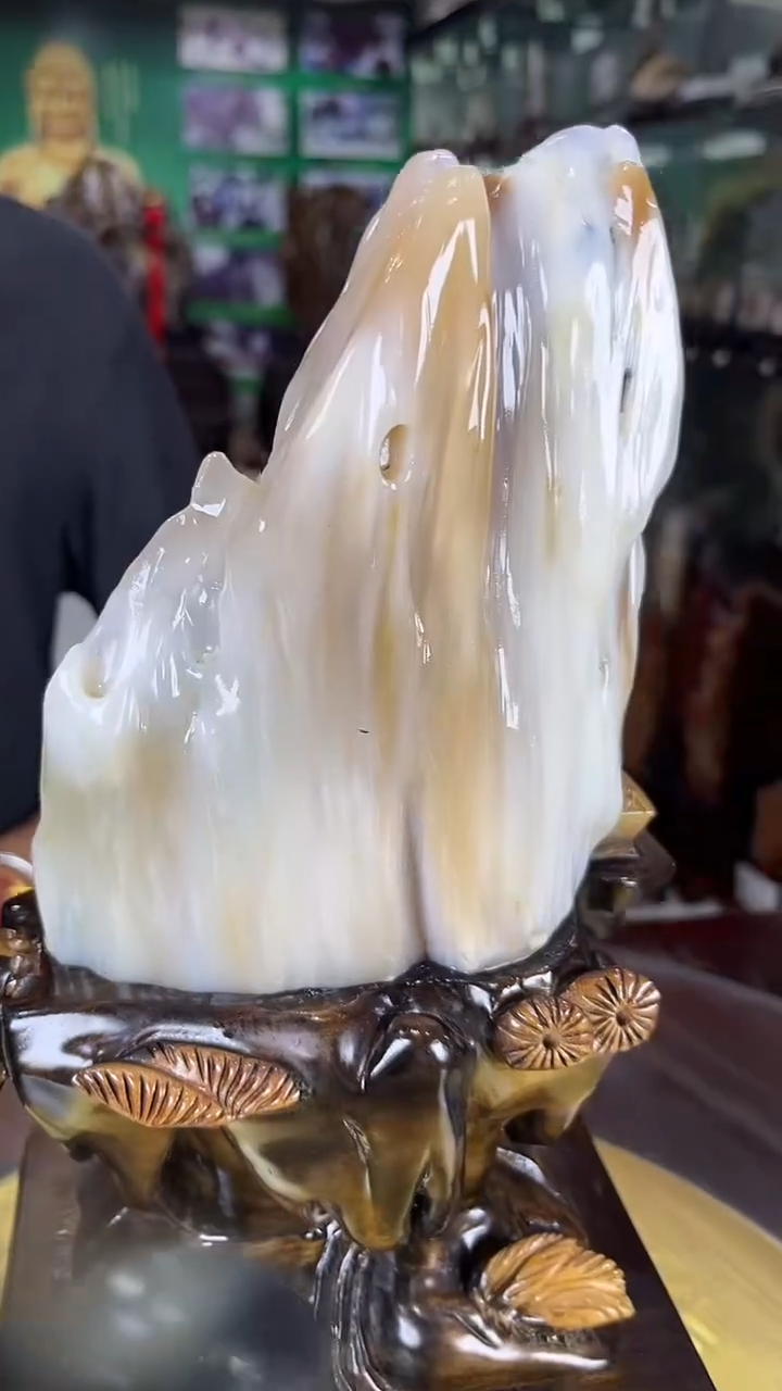 未镶嵌珠宝奇石硅化玉缅甸天然树化玉摆件