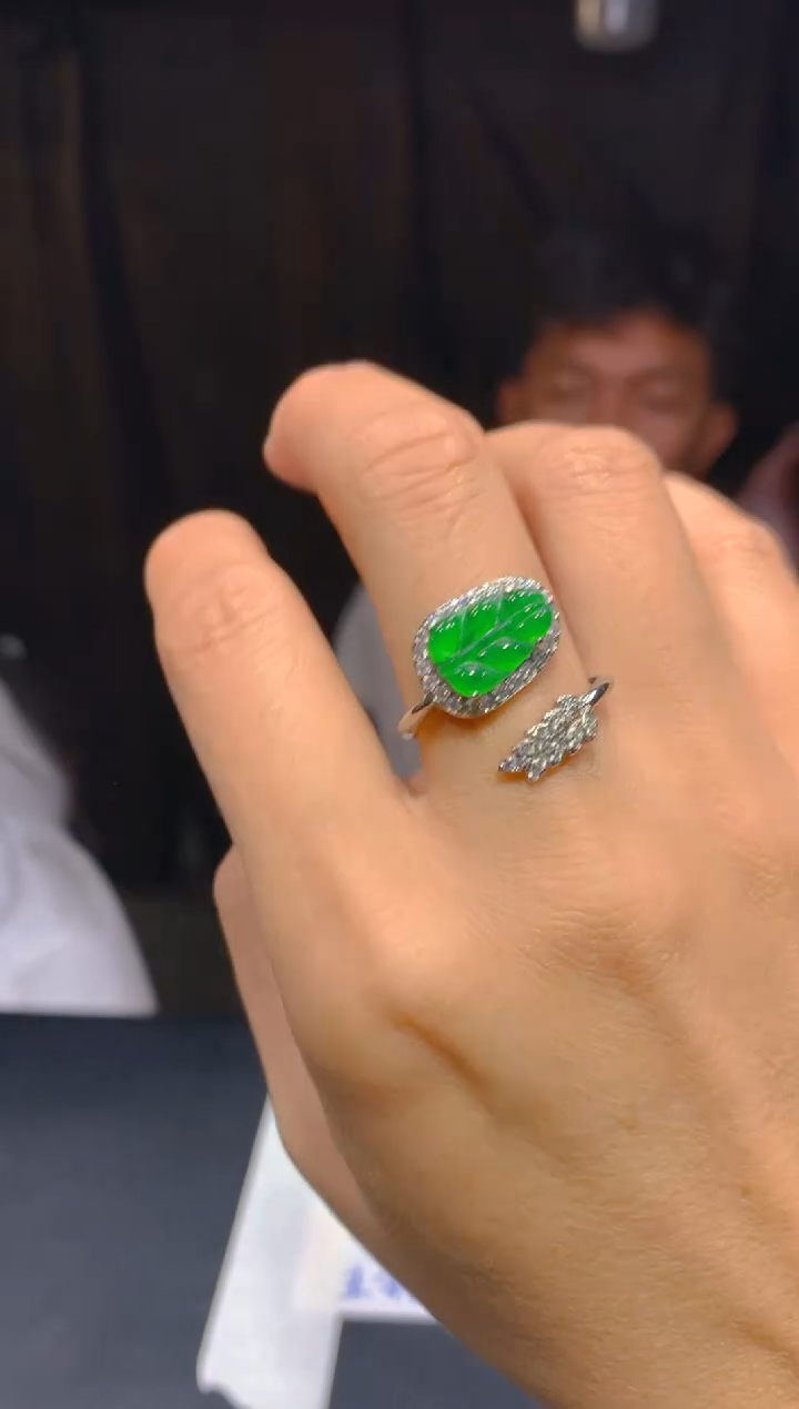 【闪购商品】定制翡翠未镶嵌51多样性发货（发其一）