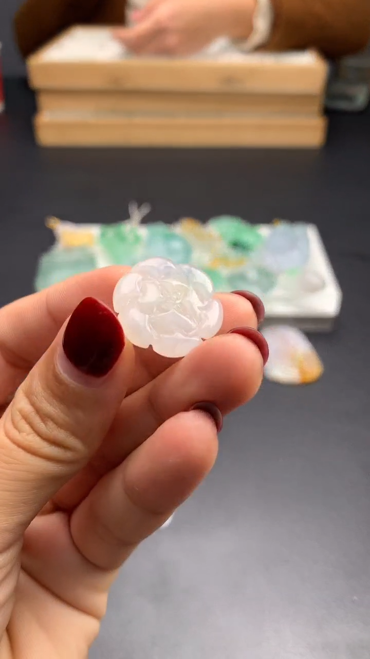 【闪购商品】翡翠颈饰未镶嵌