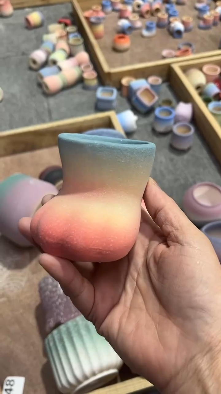 【闪购商品】红陶6*5