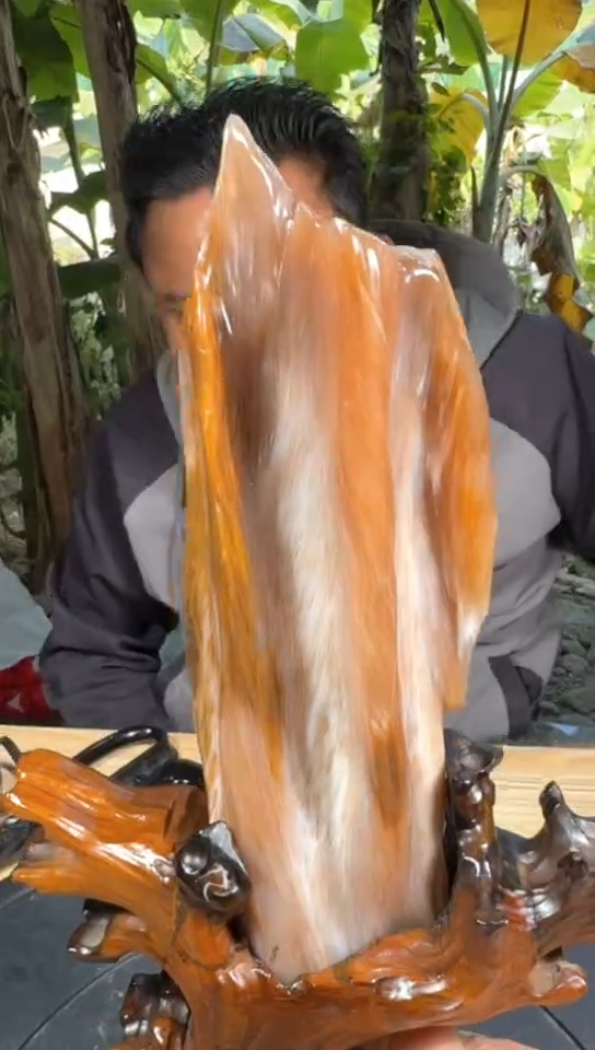 【闪购商品】硅化玉珠宝奇石未镶嵌拍一发一