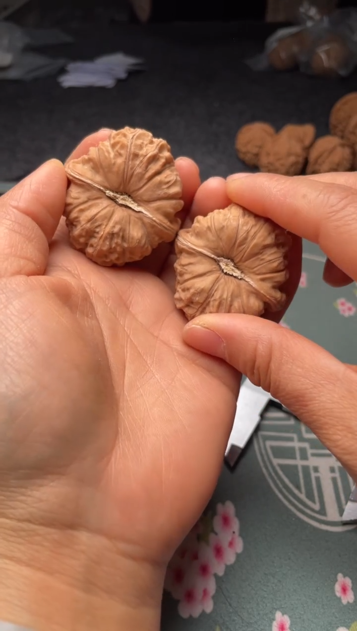 把件文玩核桃w250  南瓜墩 43尺