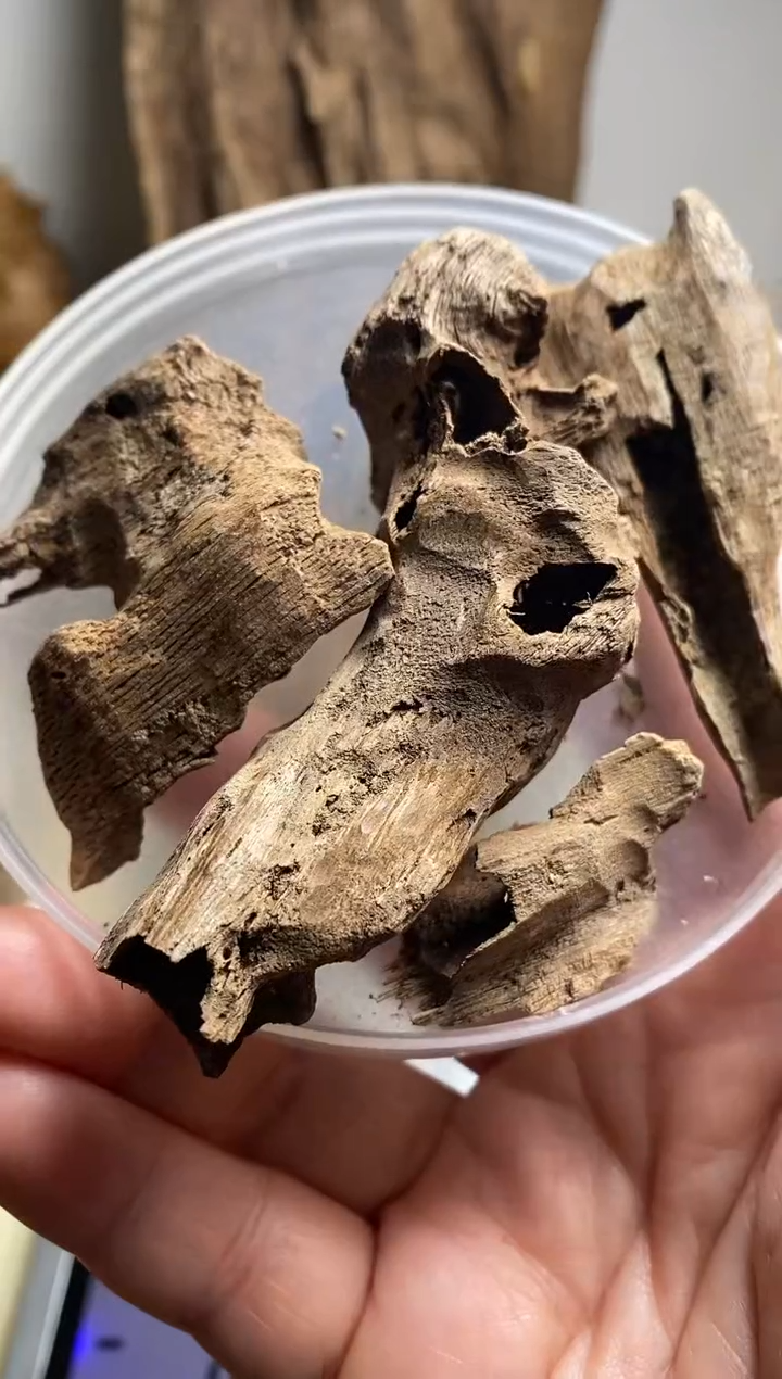 【闪购商品】沉香手把件柬埔寨沉香土沉12克