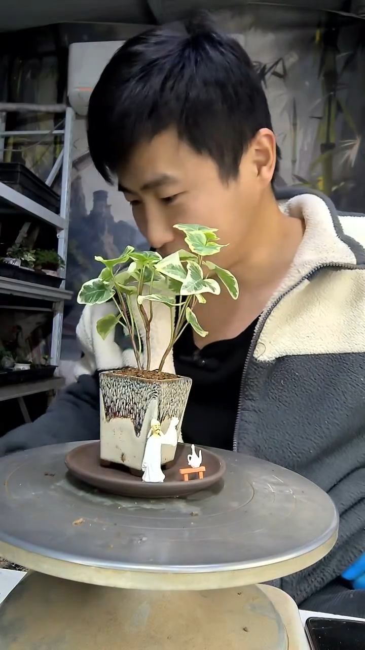 心*中青园艺一物一拍花414