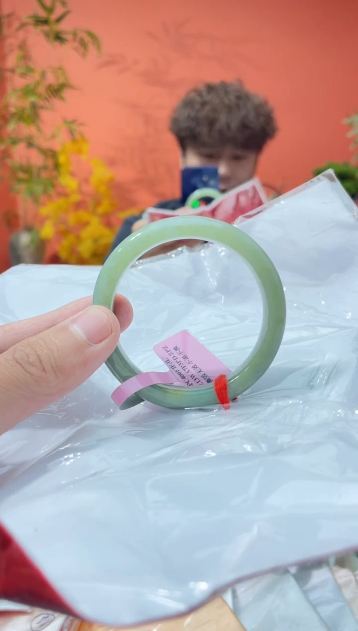 未镶嵌手镯翡翠6