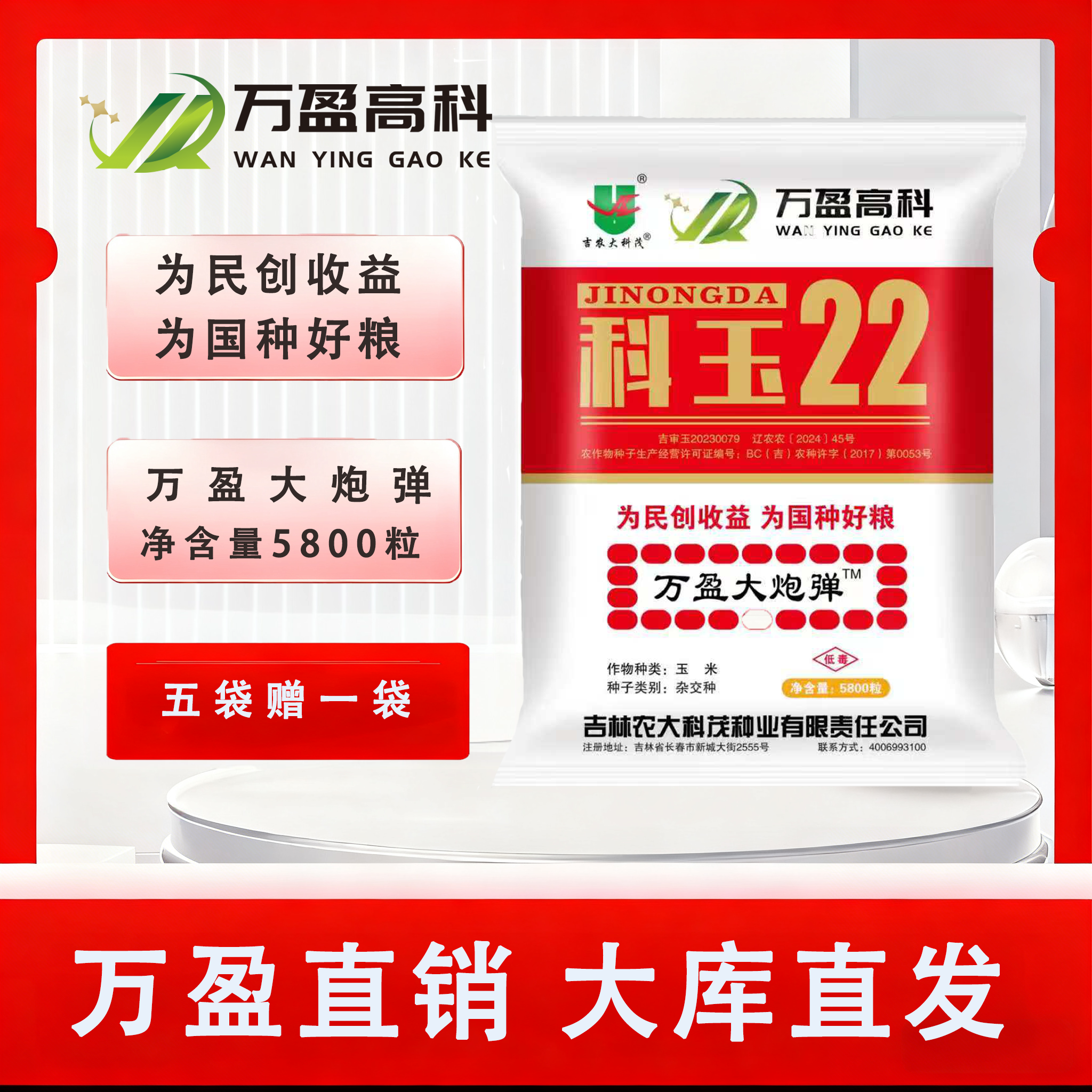 科玉22玉米种子五紫多抗大粗棒轴细粒深抗性强