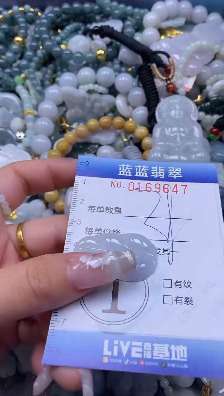 【闪购商品】翡翠颈饰未镶嵌闪购0169647