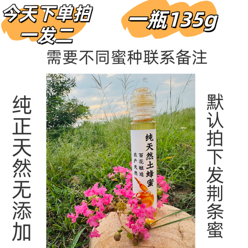 便携试吃装挤压型太行山农家自产成熟蜂蜜营养健康冲泡饮品